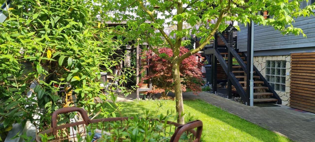 Ferienapartment Mia Фрицлар Экстерьер фото